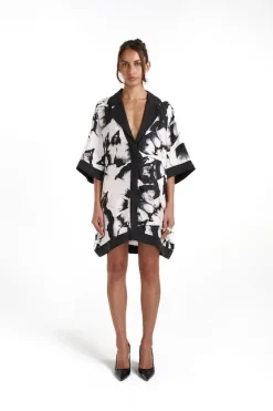 Luka Shirt Dress With Collar Everlast